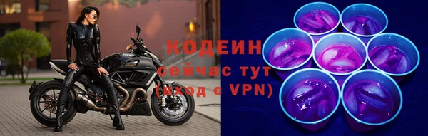 дживик Дедовск