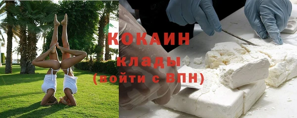 дживик Дедовск