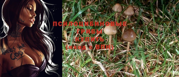 MDMA Данков