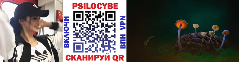 Галлюциногенные грибы Cubensis  купить наркоту  мега вход  это наркотические препараты  Волгоград 