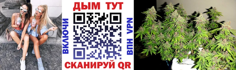 Каннабис семена  продажа наркотиков  Волгоград 